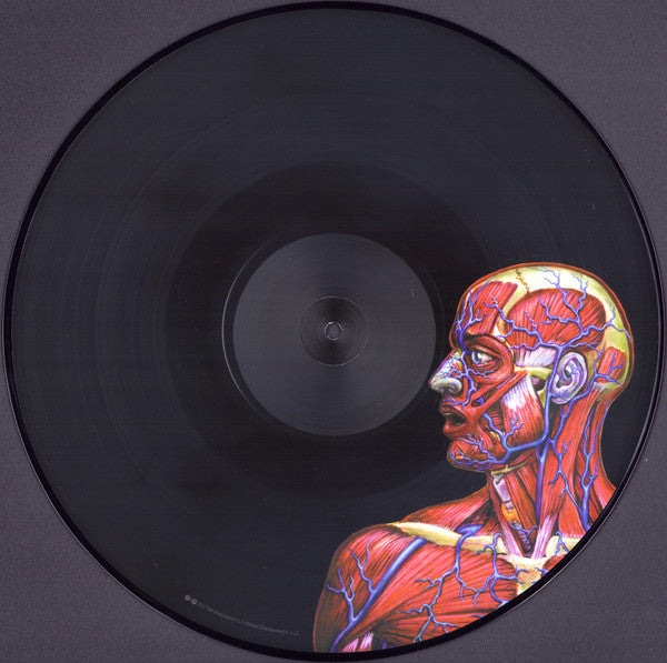 Lateralus  - Tool