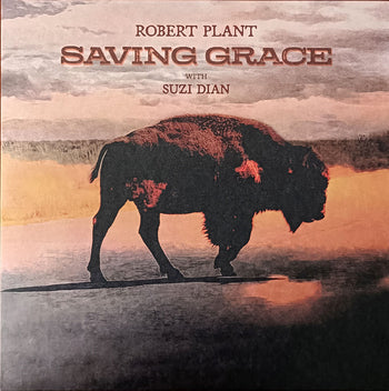 Saving Grace - Plant, Robert