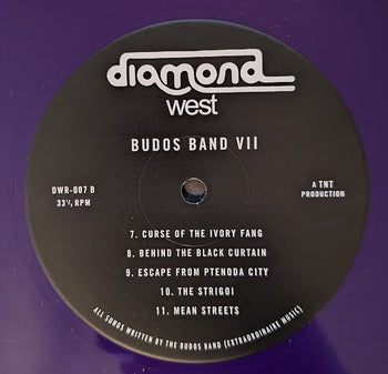 VII - Budos Band