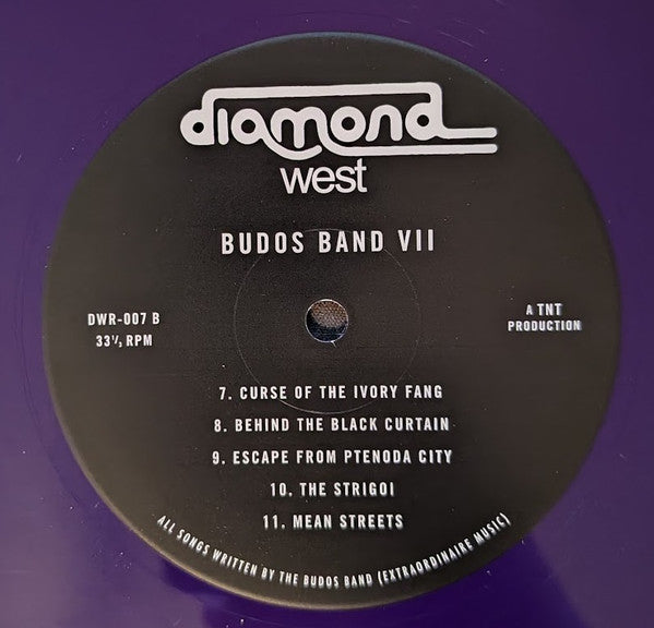 VII - Budos Band