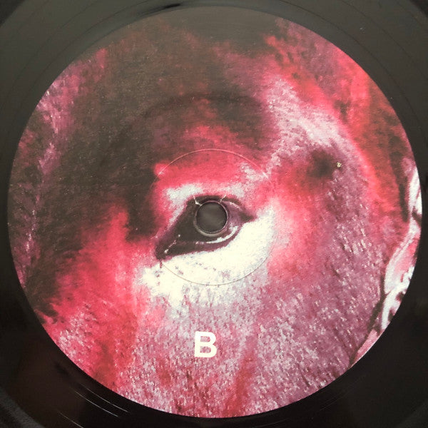 Ultimate Success Today - Protomartyr