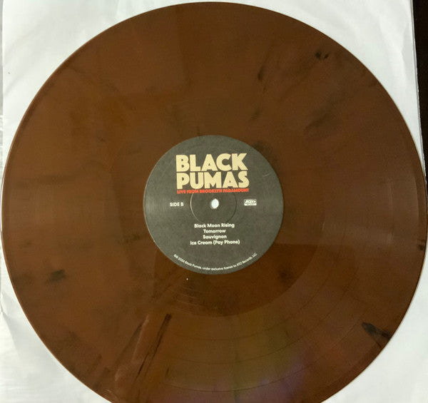 Live From Brooklyn Paramount - Black Pumas