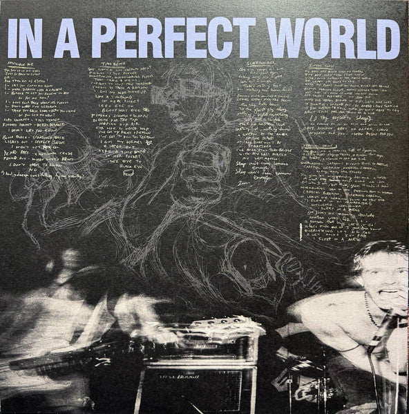 In A Perfect World - Season To Risk