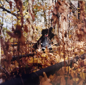 Golliwog - Billy Woods