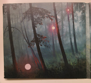 The Cosmic Selector Vol. 1 - Lord Huron