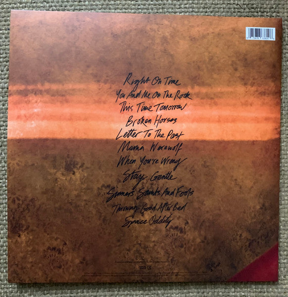 In These Silent Days (Deluxe Edition) In The Canyo - Carlile, Brandi
