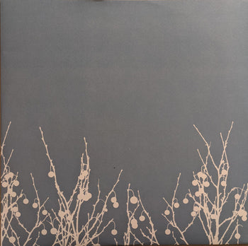 Oh Inverted World - Shins, The