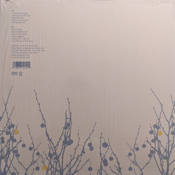 Oh Inverted World - Shins, The