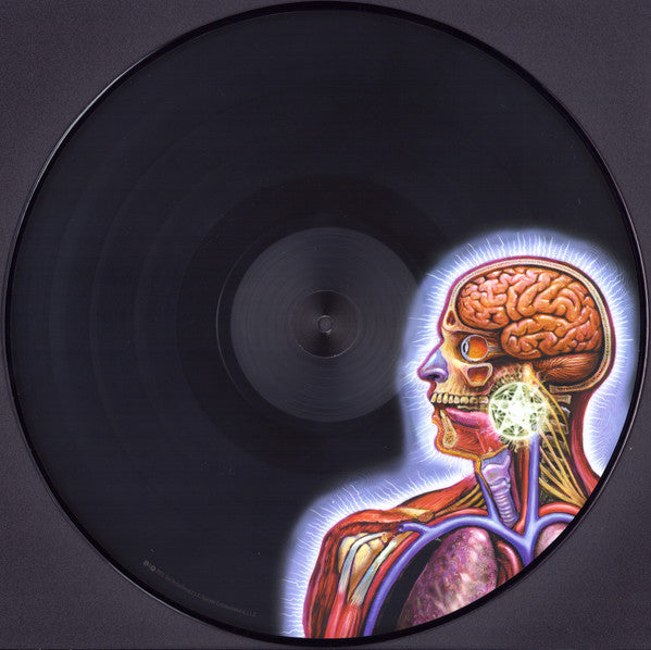 Lateralus  - Tool