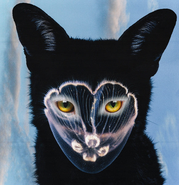 Pharmacy - Galantis