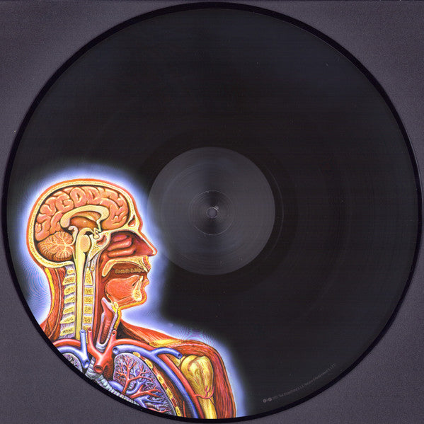 Lateralus  - Tool