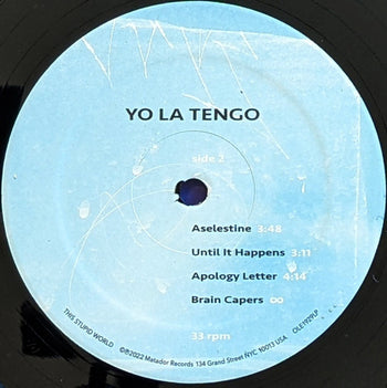 This Stupid World - Yo La Tengo
