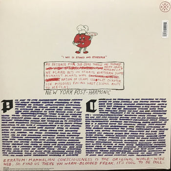 Light Up Gold - Parquet Courts