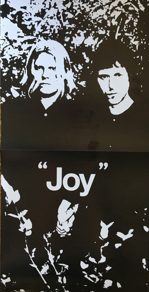 Joy - Segall, Ty & White Fence