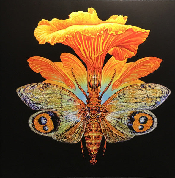 Gold & Grey - Baroness