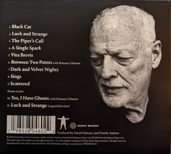Luck And Strange - Gilmour, David