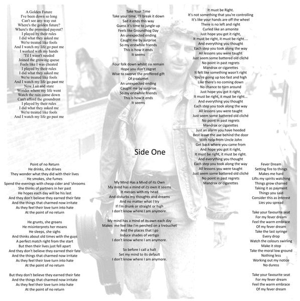 A Dark Reflection - Shaw, Adrian