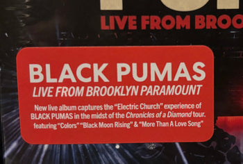 Live From Brooklyn Paramount - Black Pumas