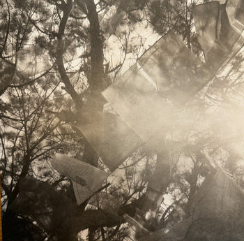Refuge - Banhart, Devendra & Noah Georgeson