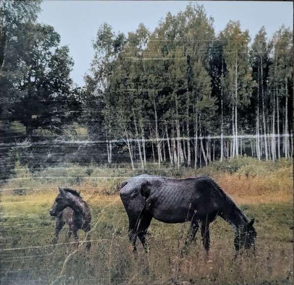 Old Pride - Pianos Become The Teeth