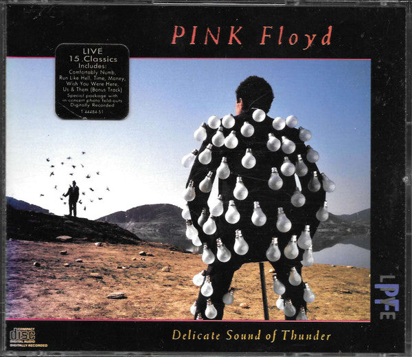 Delicate Sound Of Thunder - Pink Floyd