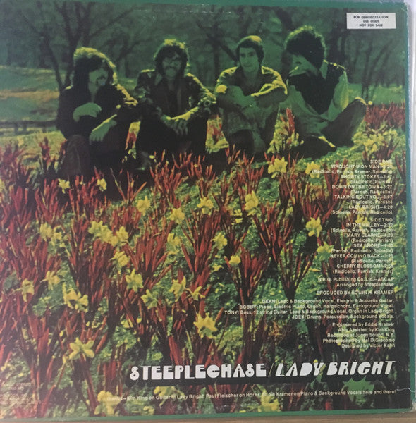 Lady Bright - Steeplechase