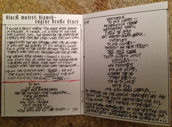 13 Blues For Thirteen Moons - Silver Mt. Zion