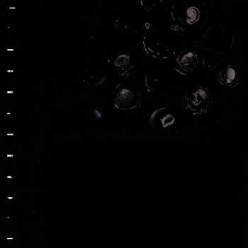 Ice Melt [LP] - Crumb