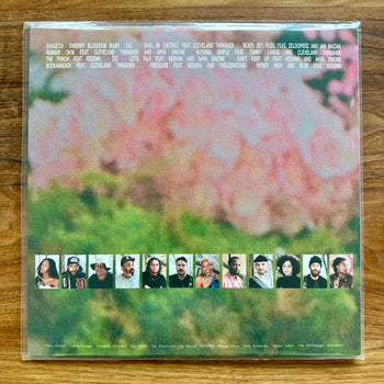Cherry Blossom Baby - Shigeto