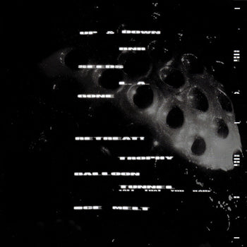 Ice Melt [LP] - Crumb