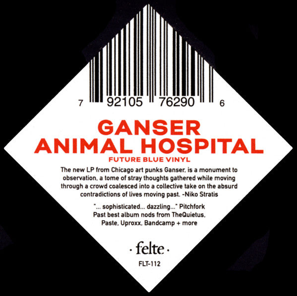 Animal Hospital - Ganser