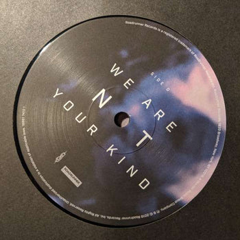 We Are Not Your Kind [LP] - Slipknot