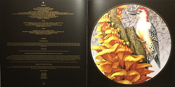 Gold & Grey - Baroness