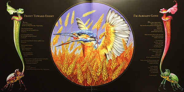 Gold & Grey - Baroness