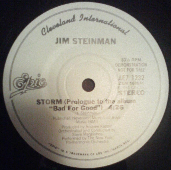 Bad For Good - Steinman, Jim