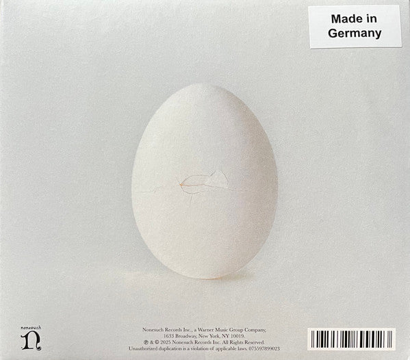A Ghost Is Born (Expanded Edition) - Wilco