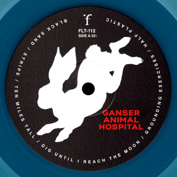 Animal Hospital - Ganser