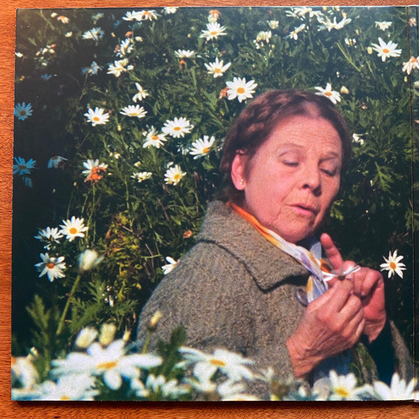 Harold And Maude - Stevens, Cat