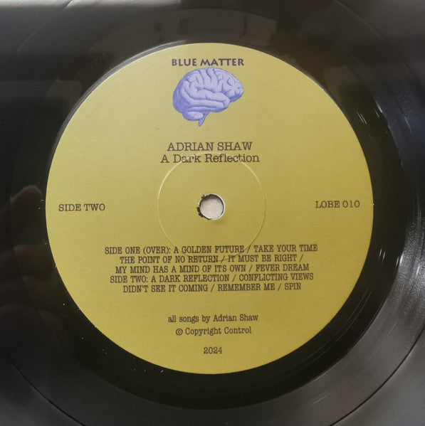 A Dark Reflection - Shaw, Adrian