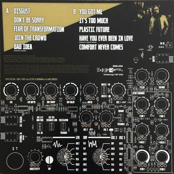 Synthesizer - Place To Bury Strangers