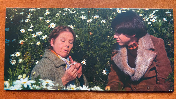 Harold And Maude - Stevens, Cat