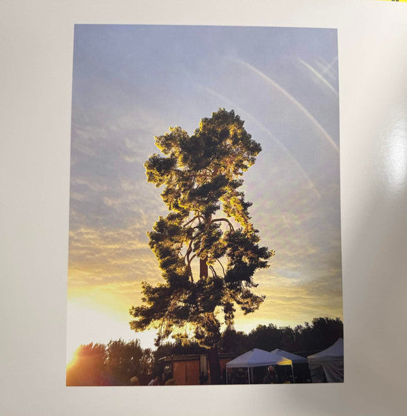 Volumes: One - Selections From Music Concerts 2019 - Bon Iver