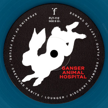 Animal Hospital - Ganser