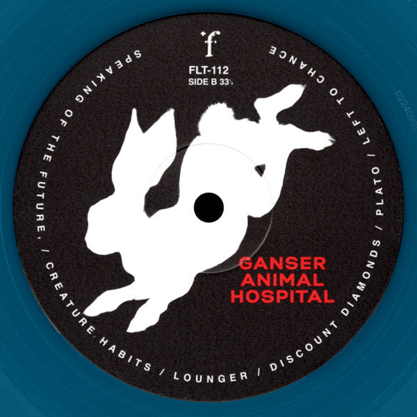 Animal Hospital - Ganser