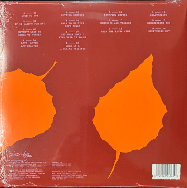 Remembering Now - Morrison, Van