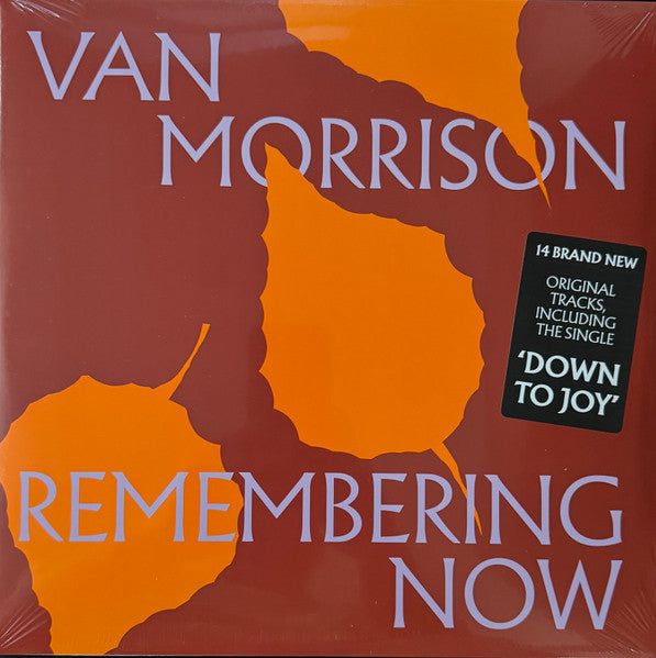 Remembering Now - Morrison, Van