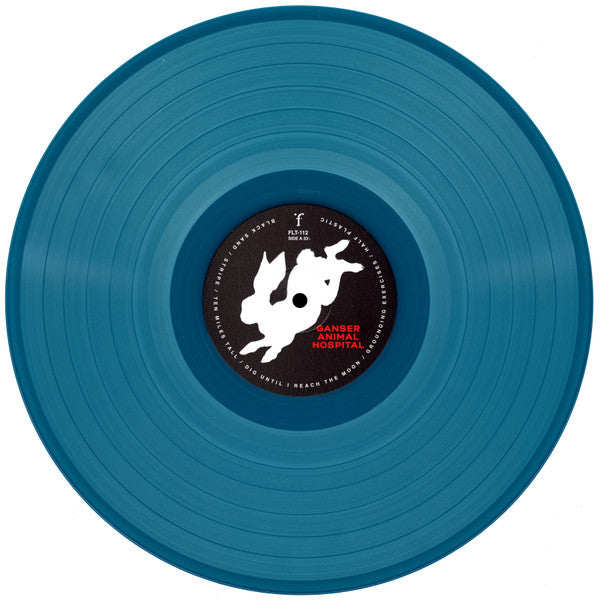 Animal Hospital - Ganser