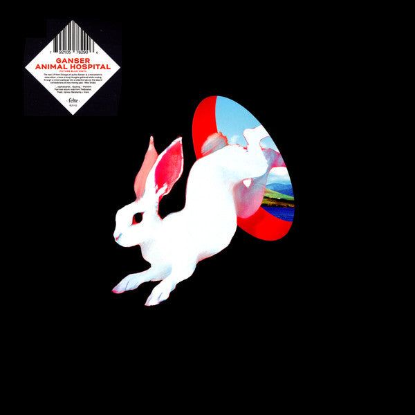 Animal Hospital - Ganser