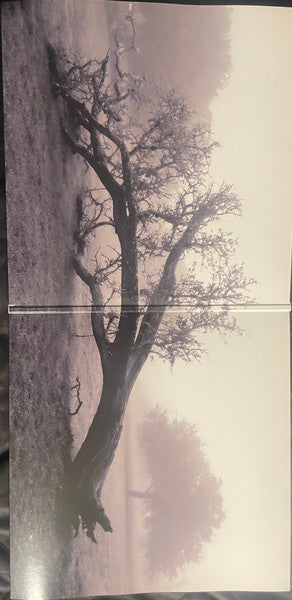 JPEG RAW - Clark Jr., Gary