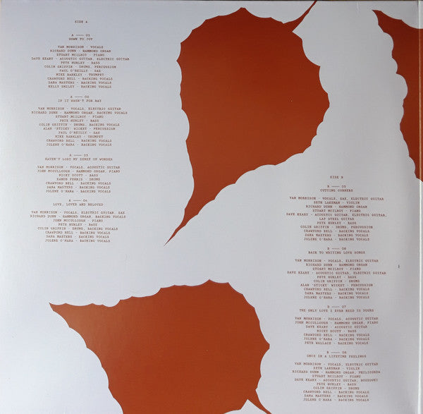Remembering Now - Morrison, Van